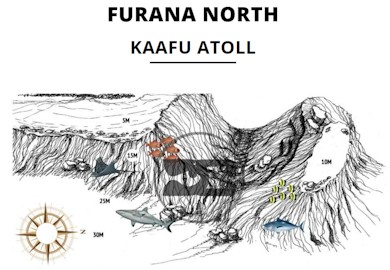 Furana North